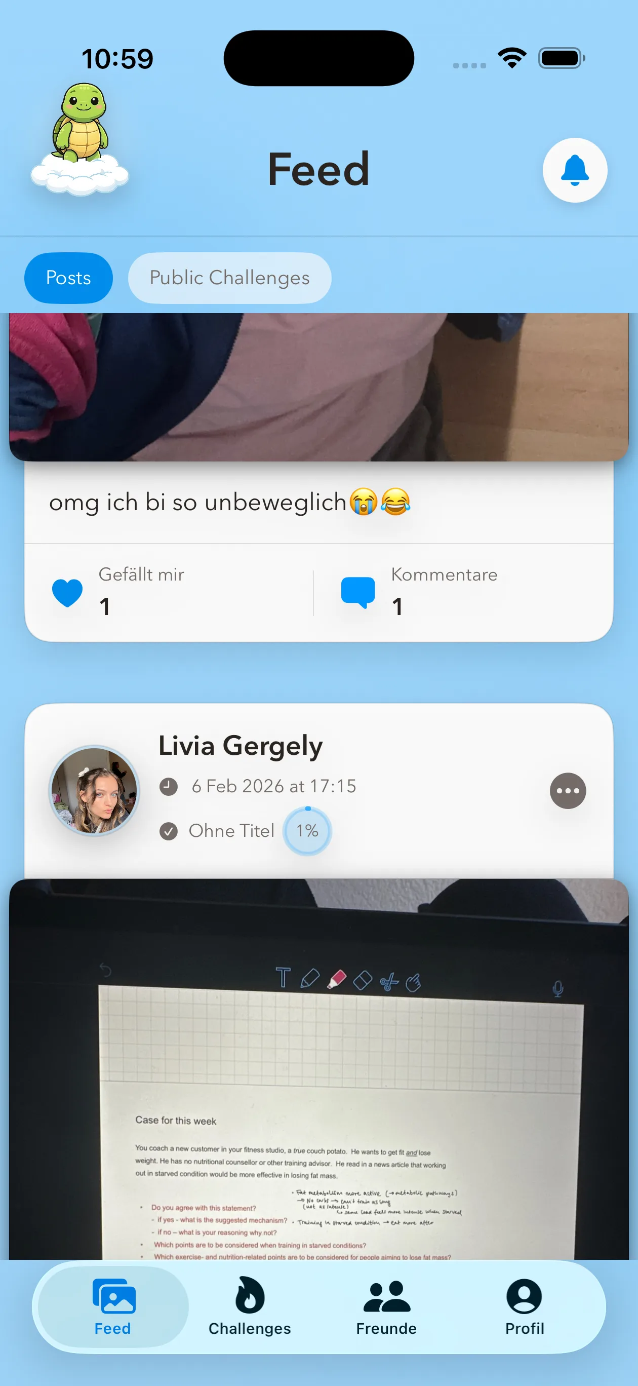 Feed in SteadyTurtle